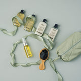 Christmas Travel - Gavesett