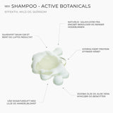 Healthy Scalp Duet - Verdipakke